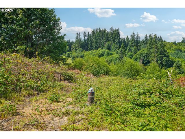 1830 Hazel Dell Rd Lot 4, Castle Rock, WA 98611