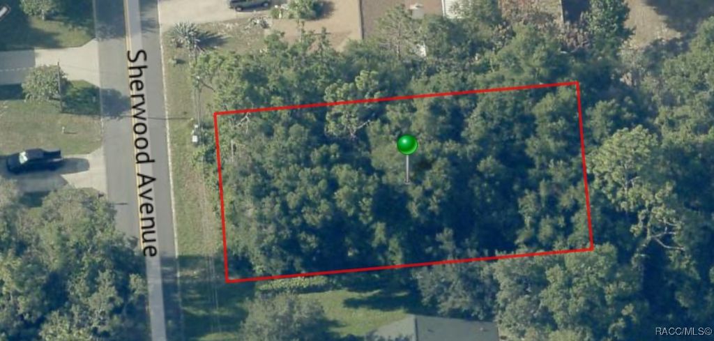740 Sherwood Avenue, Inverness, FL 34450