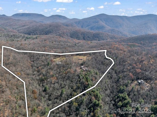 765 Higher Path, Saluda, NC 28773