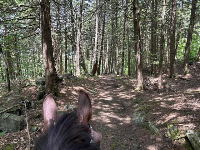 320 West Rowe Hill Road, West Windsor, VT 05037