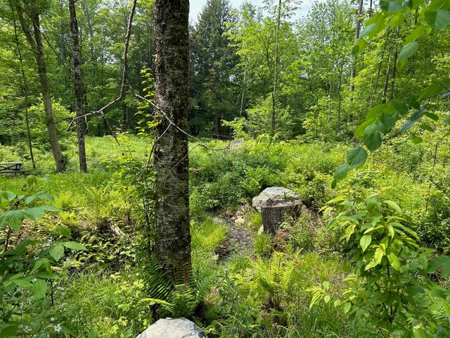 320 West Rowe Hill Road, West Windsor, VT 05037
