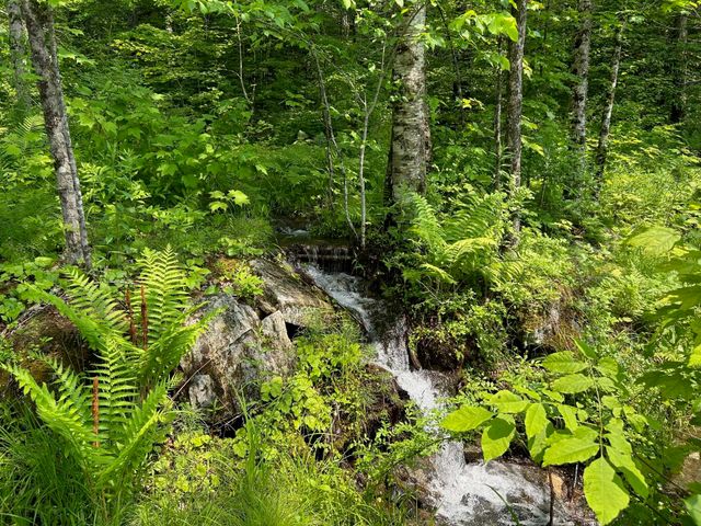 320 West Rowe Hill Road, West Windsor, VT 05037