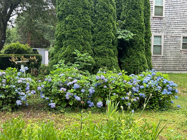 9 Bittersweet Road, East Falmouth, MA 02536