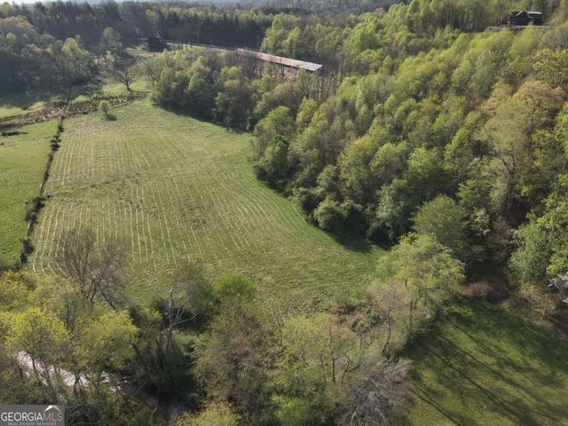 7590 Mobile Road, Blue Ridge, GA 30513
