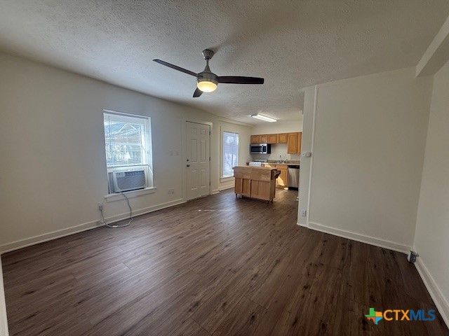 527 W San Antonio Street 2, San Marcos, TX 78666