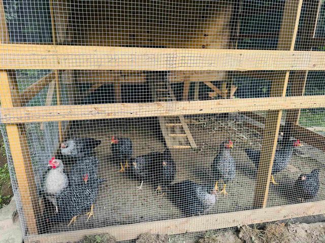 1352 Mud Hollow Road, Kirby, VT 05824