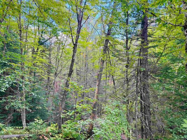 1352 Mud Hollow Road, Kirby, VT 05824