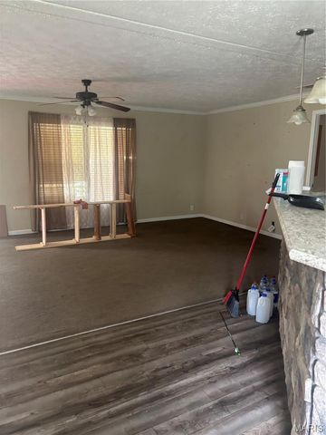 2289 Madison 219, Fredericktown, MO 63645