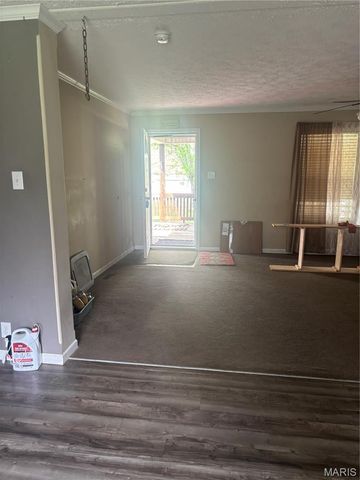 2289 Madison 219, Fredericktown, MO 63645
