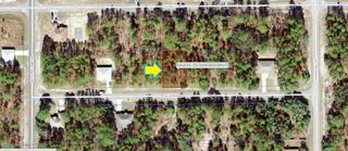 3705 W Lappula Lane, Citrus Springs, FL 34433