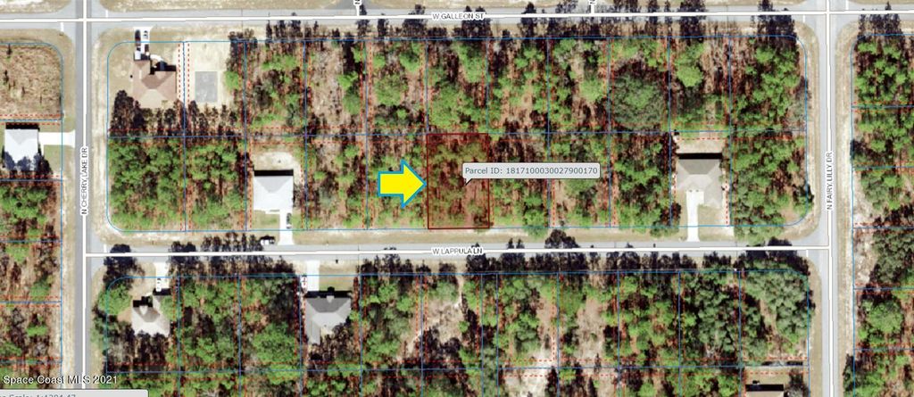 3705 W Lappula Lane, Citrus Springs, FL 34433