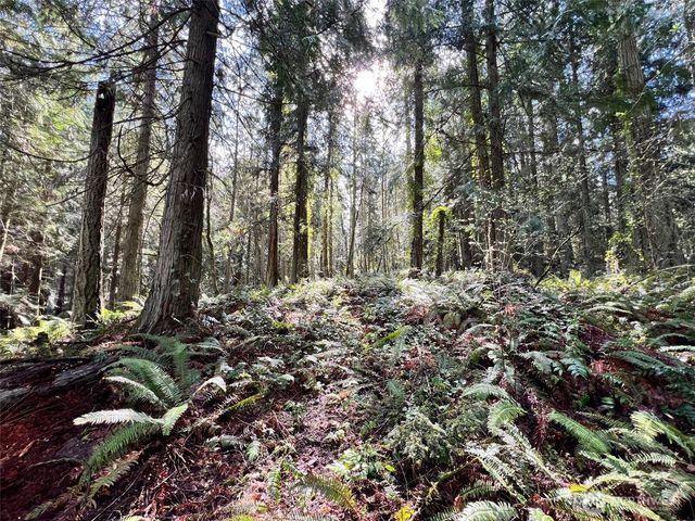 9999 S Sequim Ave Parcel C, Sequim, WA 98382