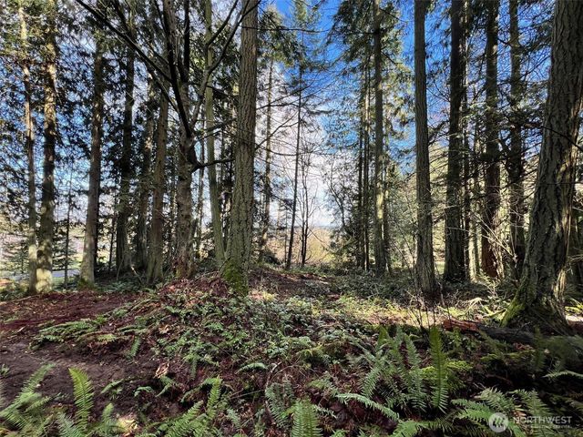 9999 S Sequim Ave Parcel C, Sequim, WA 98382