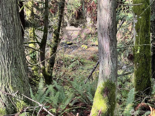 9999 S Sequim Ave Parcel C, Sequim, WA 98382