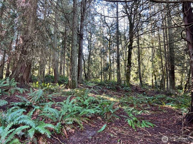 9999 S Sequim Ave Parcel C, Sequim, WA 98382