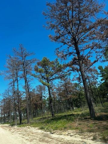 0 Hardy Toll Road, Houston, TX 77073