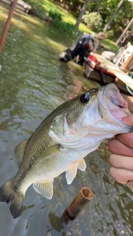 211 N Beverly Drive, Malakoff, TX 75148