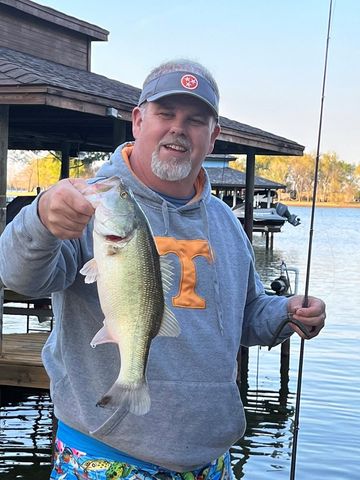 211 N Beverly Drive, Malakoff, TX 75148