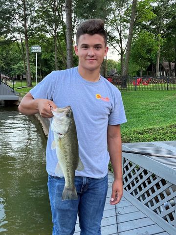 211 N Beverly Drive, Malakoff, TX 75148