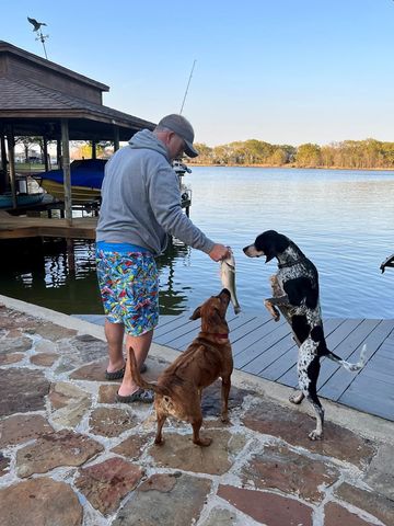 211 N Beverly Drive, Malakoff, TX 75148