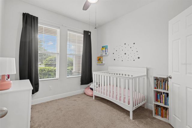 15133 CARAVAN AVENUE, Odessa, FL 33556