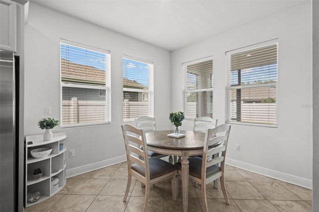 15133 CARAVAN AVENUE, Odessa, FL 33556