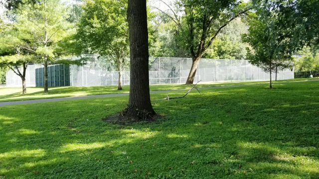 5217 Clear Spring Drive, Minnetonka, MN 55345