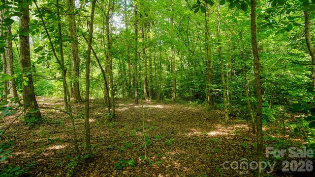 5018 Grassy Creek Road, Denver, NC 28037