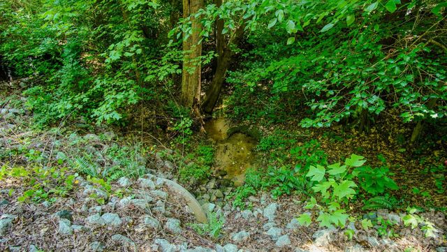 5018 Grassy Creek Road, Denver, NC 28037