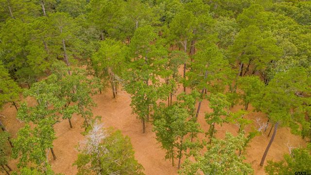 19385 FM 16 W, Lindale, TX 75771