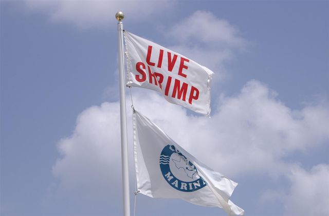 7 Half Moon, Hitchcock, TX 77563