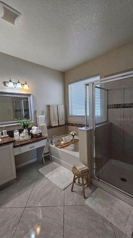 11114 HARTFORD FERN DRIVE, Riverview, FL 33569