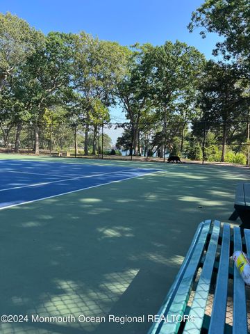 10 Seawood Way, Spring Lake, NJ 07762
