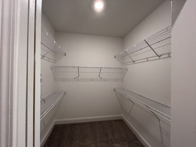 1021 Vida Way Apt 101, Nolensville, TN 37135