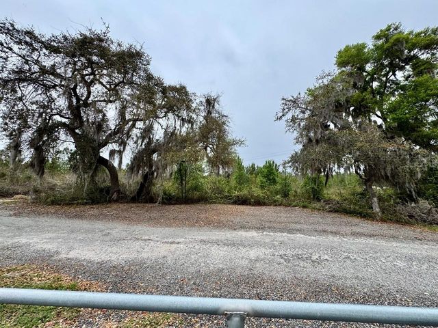 8671 NE 304TH TERRACE, Salt Springs, FL 32134