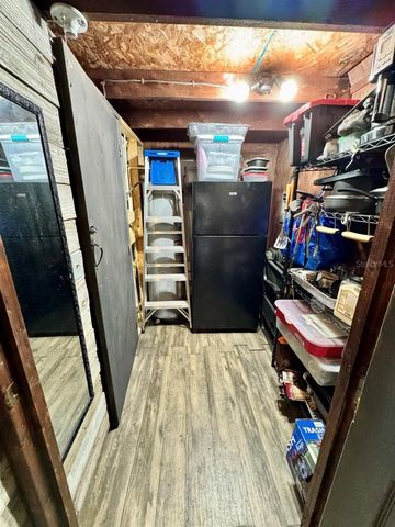 8671 NE 304TH TERRACE, Salt Springs, FL 32134