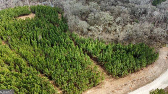 0 Jordon Road, Waverly Hall, GA 31831