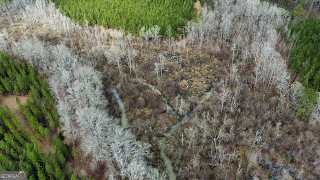 0 Jordon Road, Waverly Hall, GA 31831