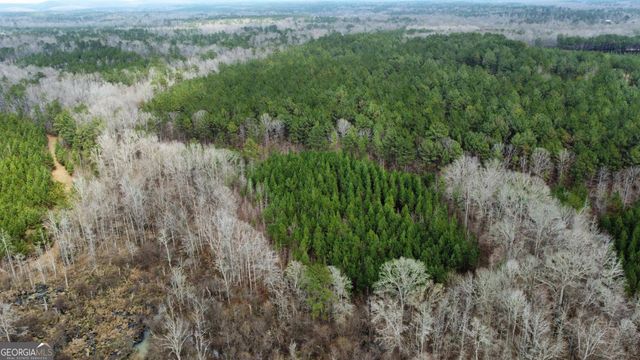 0 Jordon Road, Waverly Hall, GA 31831