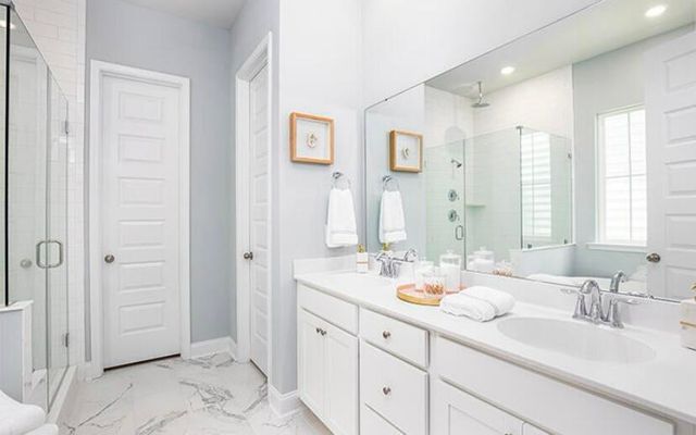 1063 Lettered Olive Lane, Summerville, SC 29485