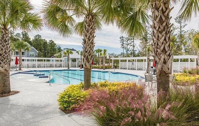 1063 Lettered Olive Lane, Summerville, SC 29485
