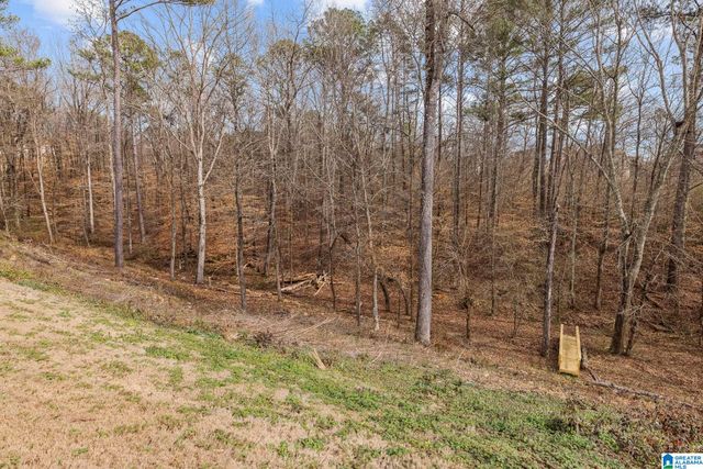 6417 DEERFOOT CROSSING DRIVE, Trussville, AL 35173