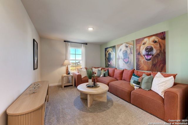 13534 Henri Castro Way, San Antonio, TX 78253