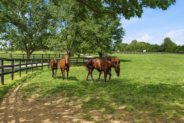 2549 Bethlehem Road, Paris, KY 40361