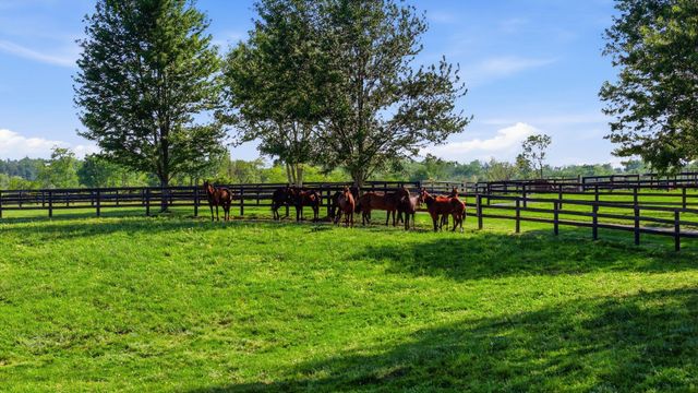 2549 Bethlehem Road, Paris, KY 40361