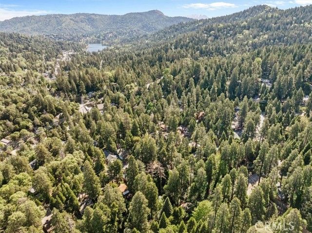 697 Mormon Springs, Crestline, CA 92325