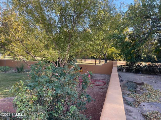 3595 Lucky Lindy Lane, Las Cruces, NM 88007