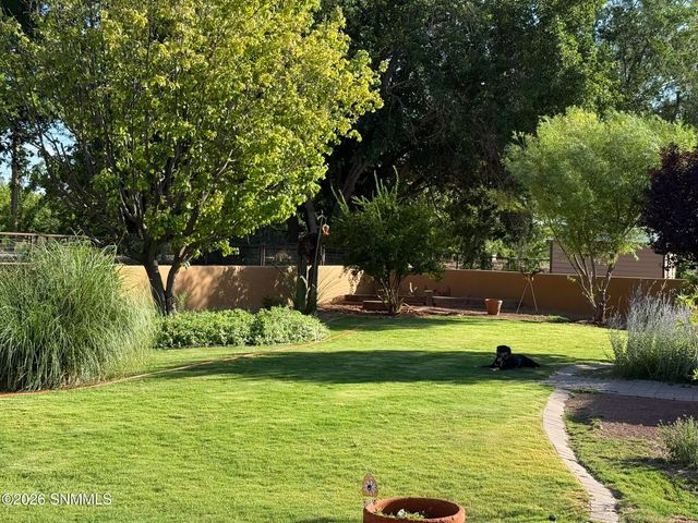 3595 Lucky Lindy Lane, Las Cruces, NM 88007