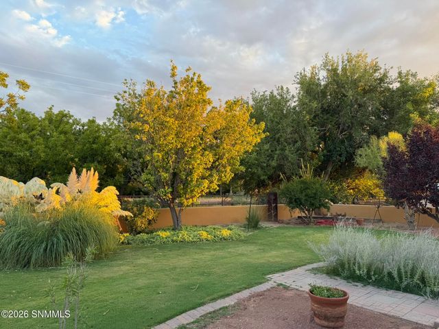 3595 Lucky Lindy Lane, Las Cruces, NM 88007