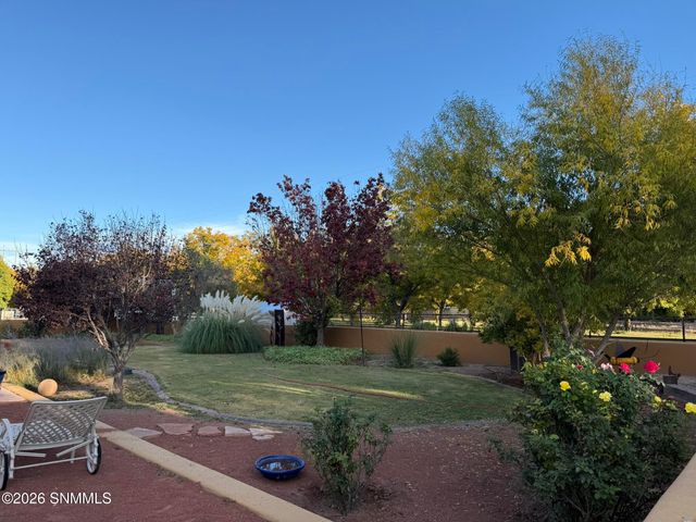 3595 Lucky Lindy Lane, Las Cruces, NM 88007